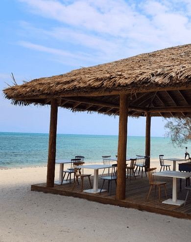 Synthetic Thatch Roof