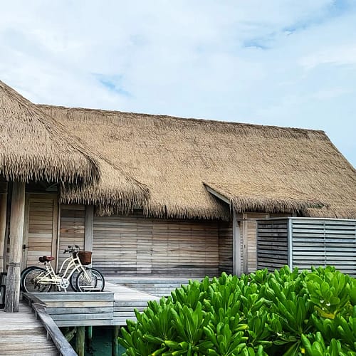 MC Synthetic Thatch Roof