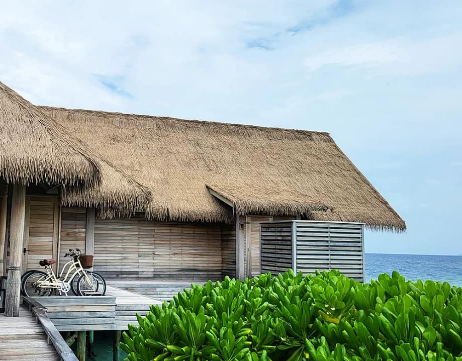 MC Synthetic Thatch Roof