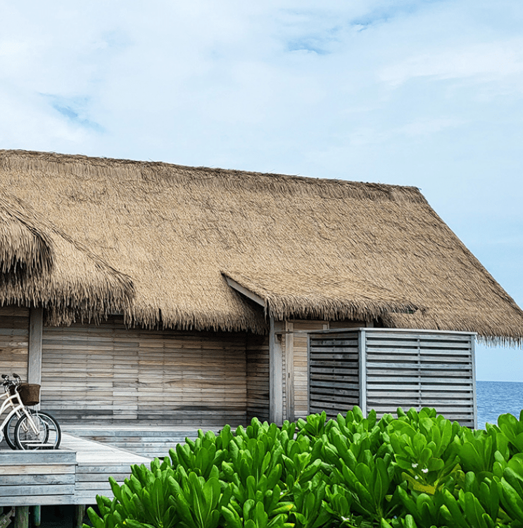 Synthetic Thatch